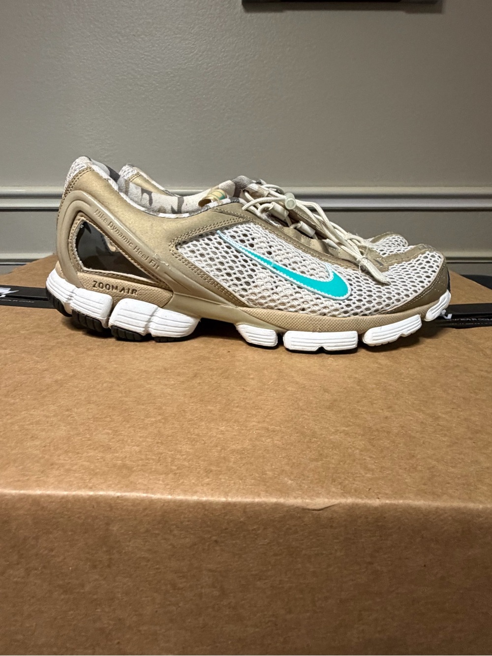 Nike Women’s Beige Mesh Running Shoes with Teal Swoosh
